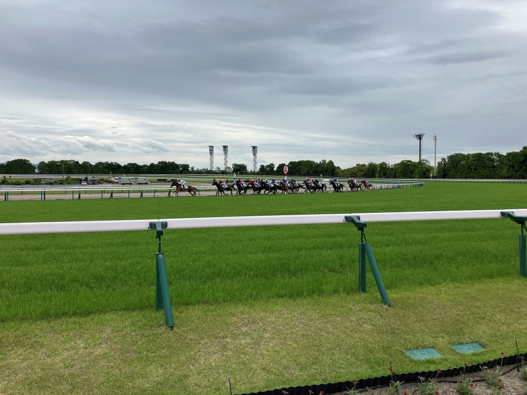 ターフィー君に会いたい