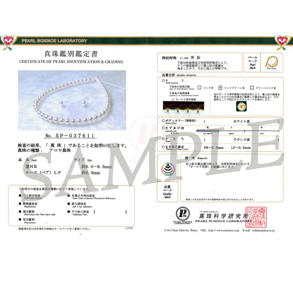 パール シルバー /K14ネックレス/イヤリング(天女/アコヤ真珠/2点セット/6月誕生石/花珠鑑別鑑定書付き)《JACQ1812》