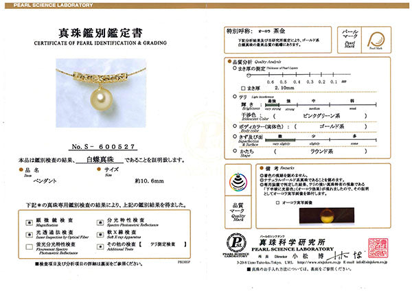 パール K18ネックレス(白蝶真珠/オーロラ茶金/ゴールド系/10.0mmUP/6月誕生石/真珠鑑別鑑定書付き)《JNKQ1238》