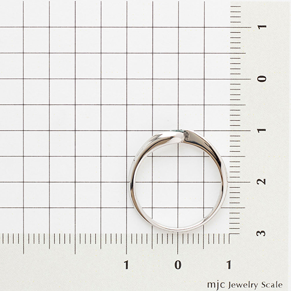 カラーチェンジガーネット プラチナリング(1月誕生石)《22T10295》