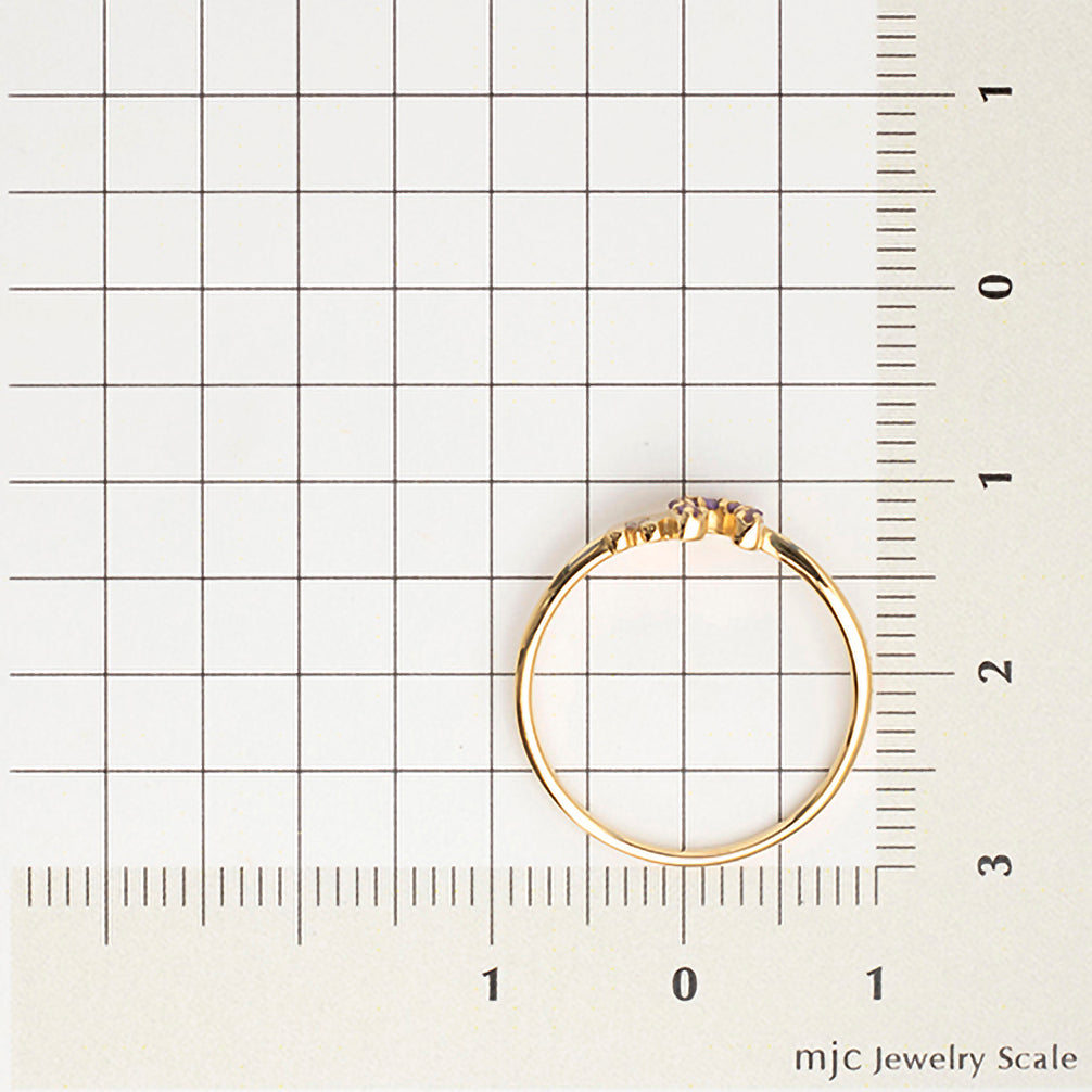アメシスト K18リング(馬蹄モチーフ/2月誕生石)《23T10102》