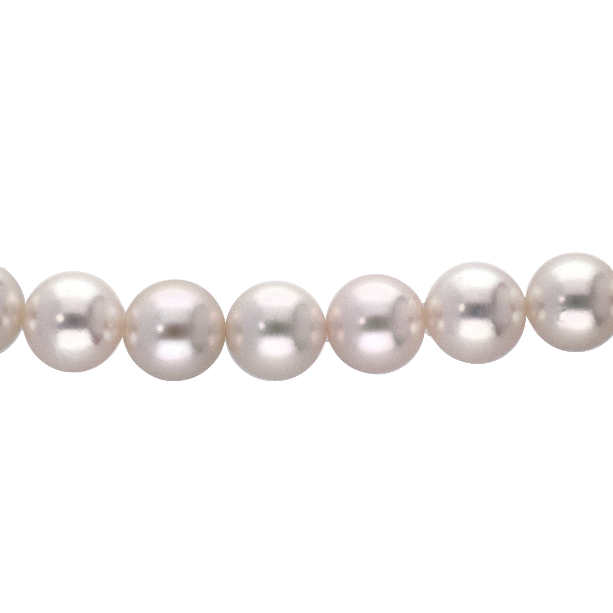 【限定1点】パールネックレス(アコヤ真珠/8mm/6月誕生石)《24T10181》