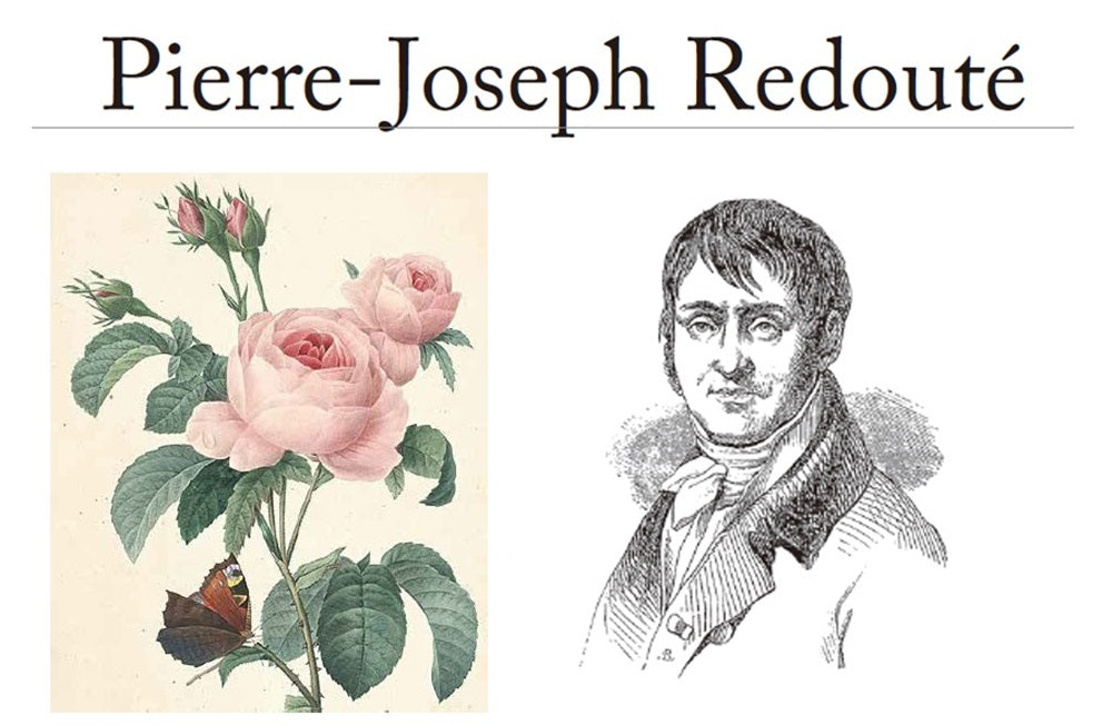 エナメル/ロードクロサイト シルバーブローチ兼ペンダントトップ(イチゴモチーフ)《25H01003》