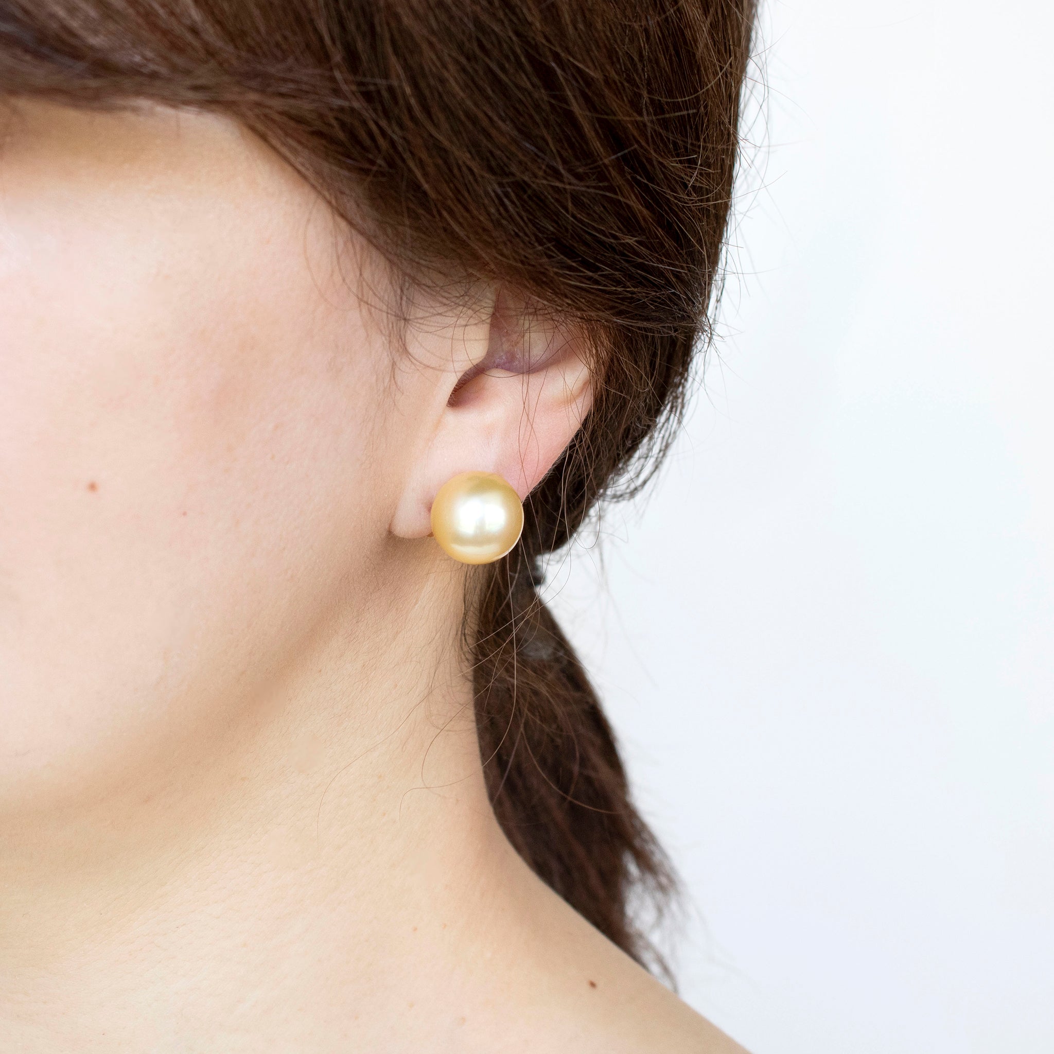 【限定3点】パール K18イヤリング(白蝶真珠/13mm/ゴールド系/6月誕生石/鑑別書付/原産地証明書付)《25H02102》