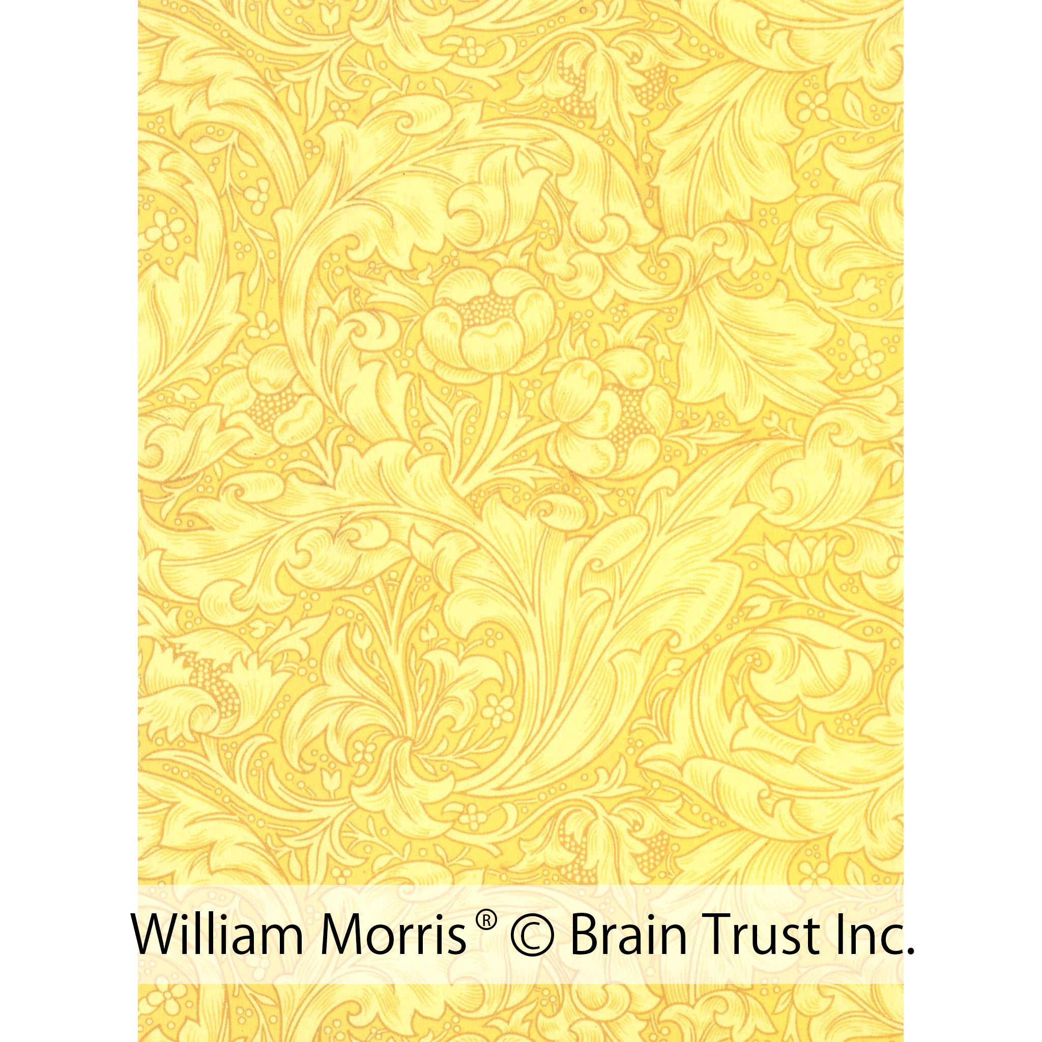 琥珀(こはく)/ホワイトトパーズ シルバーブローチ兼ペンダントトップ(やぐるまぎく)《25N00904》