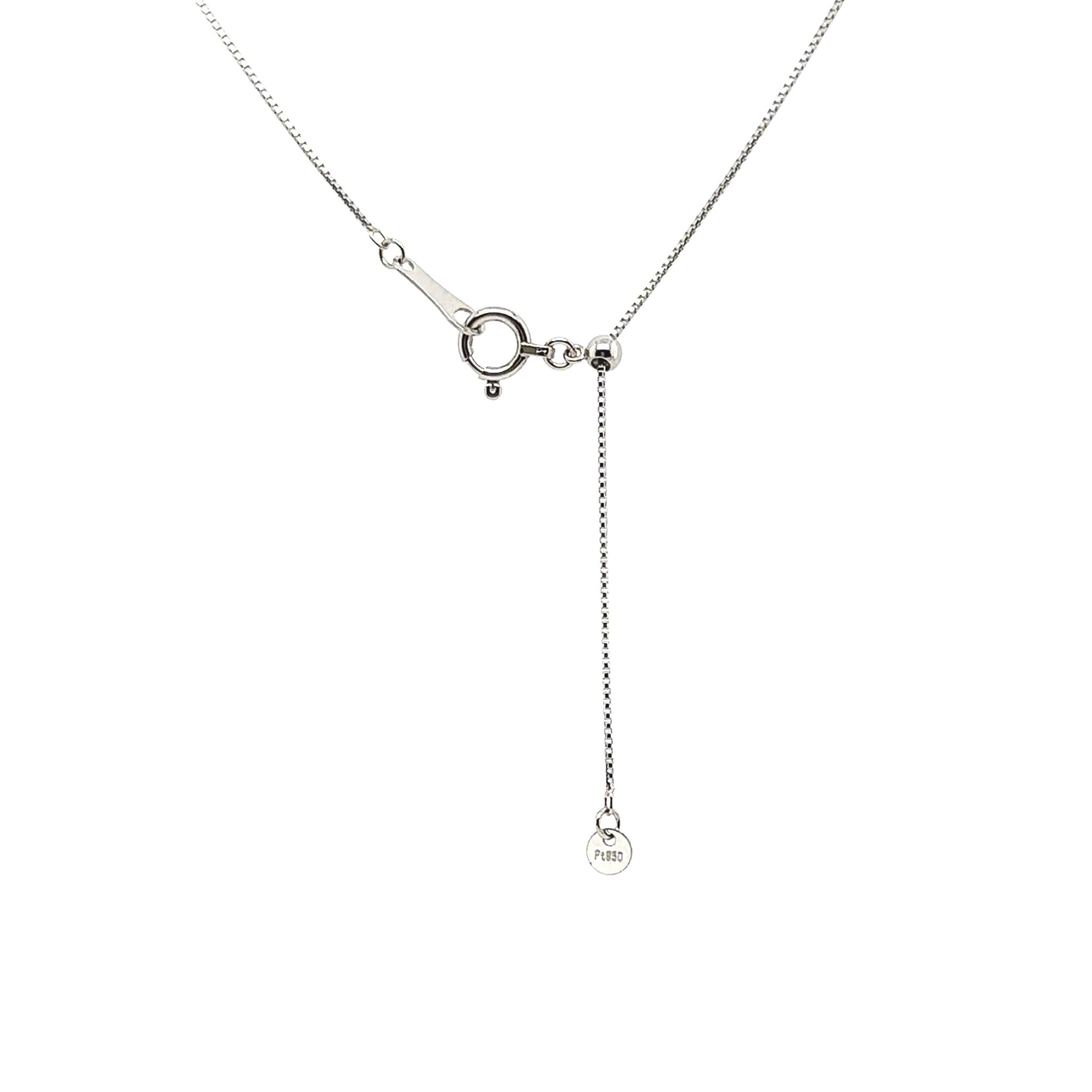 ブラックダイヤモンド/ダイヤモンド プラチナネックレス(0.5カラット/4月誕生石)《25V03004》