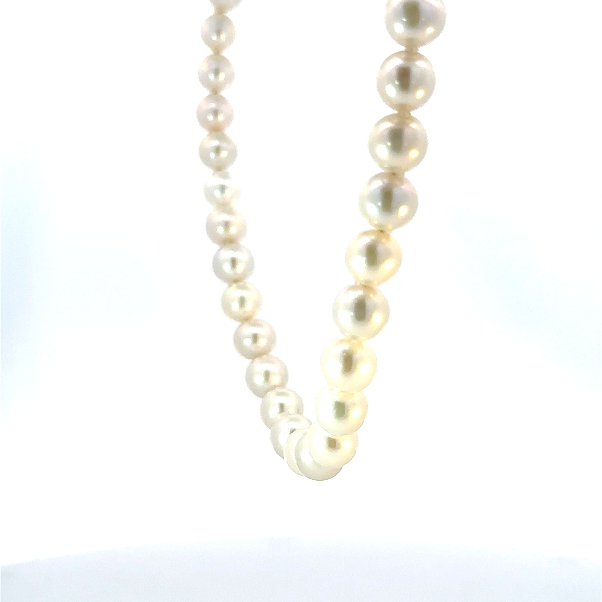 パール ネックレス(淡水真珠/7~8mm)《26A03905》