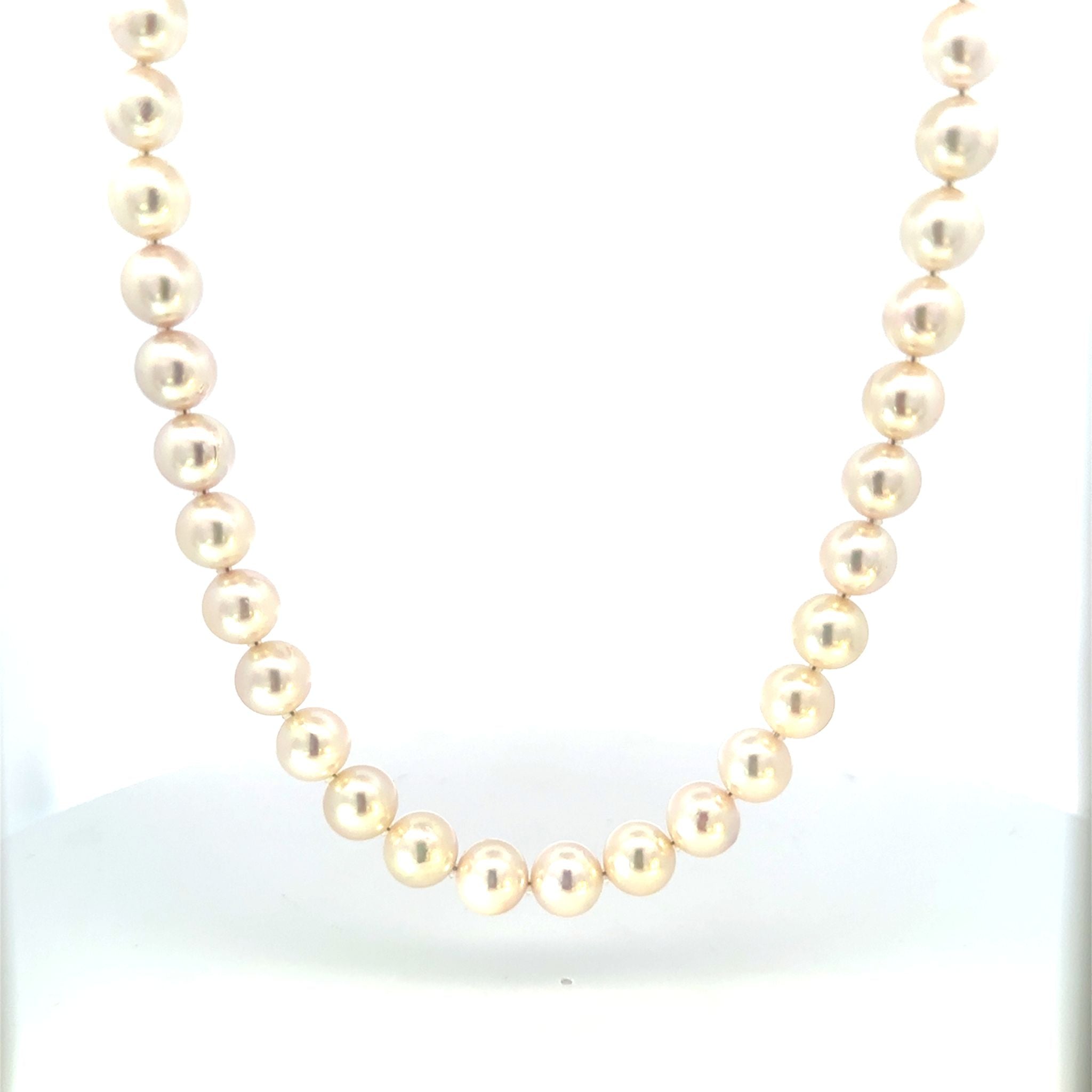 パール ネックレス(アコヤ真珠/7.5mm/宇和島産/6月誕生石/原産地証明書付)《26H01007》