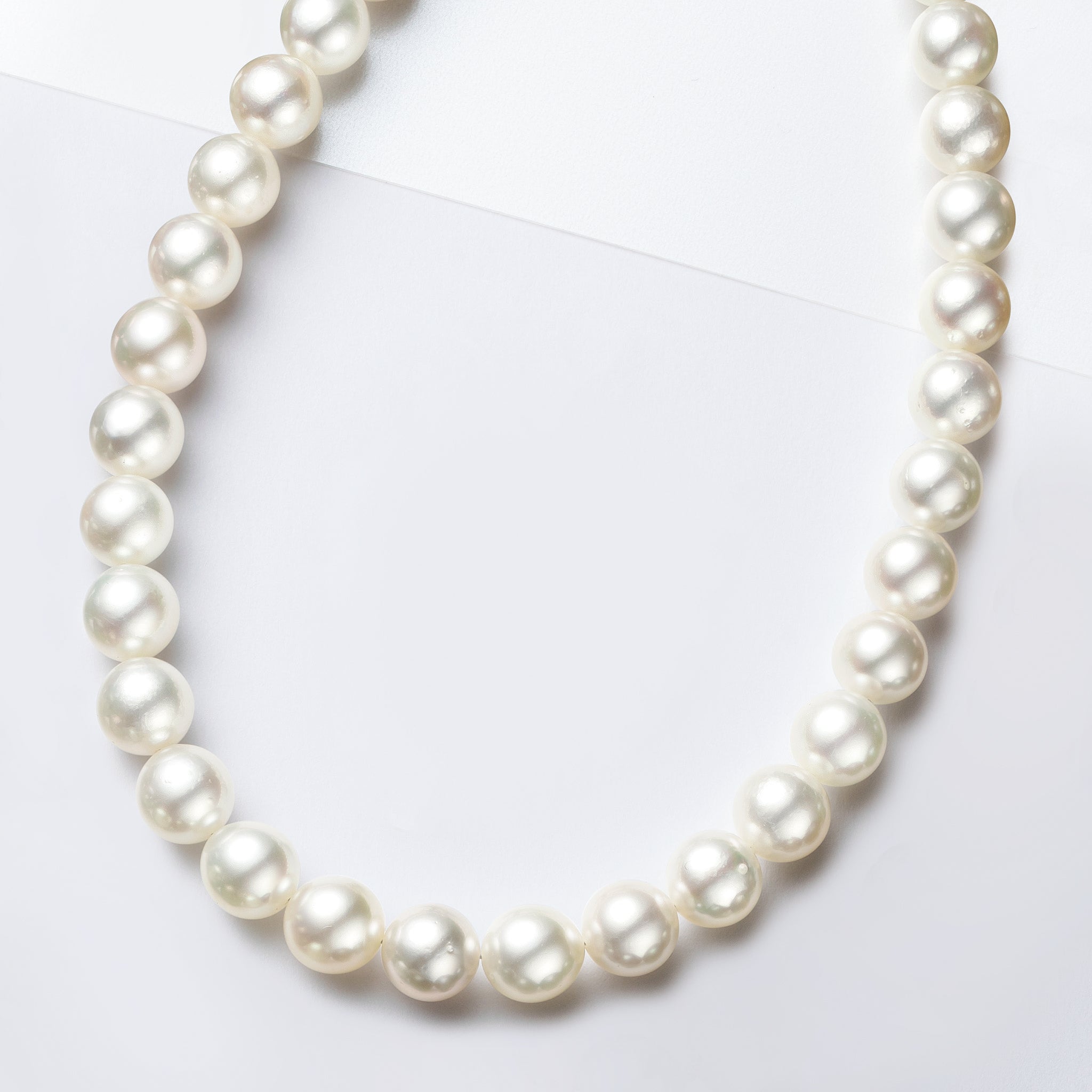 【限定5点】パール ネックレス(アコヤ真珠/8.5mm/6月誕生石)《26N00804》
