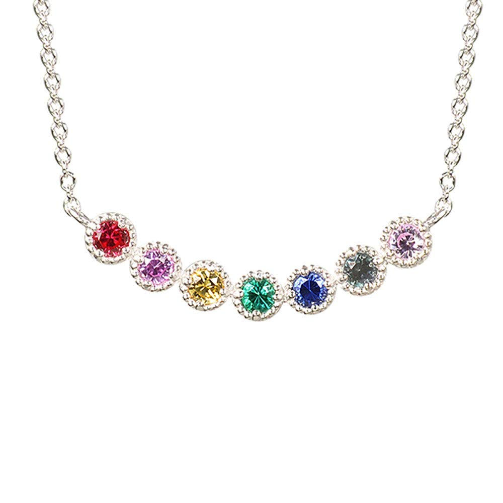 マルチカラー シルバーネックレス(クレサンベール/アミュレット)《WPDX2021》