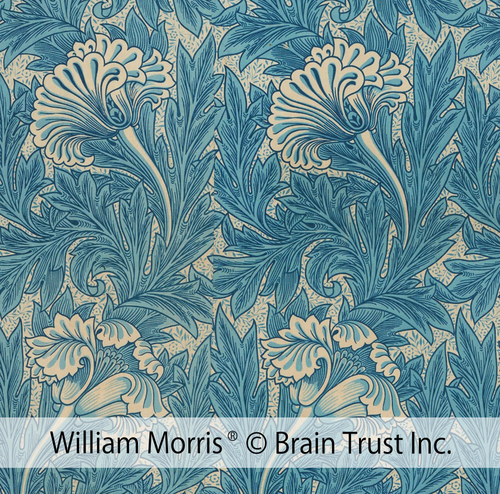 アクアマリン/パール シルバーリング(11.1カラット/チューリップ)《M0020065》