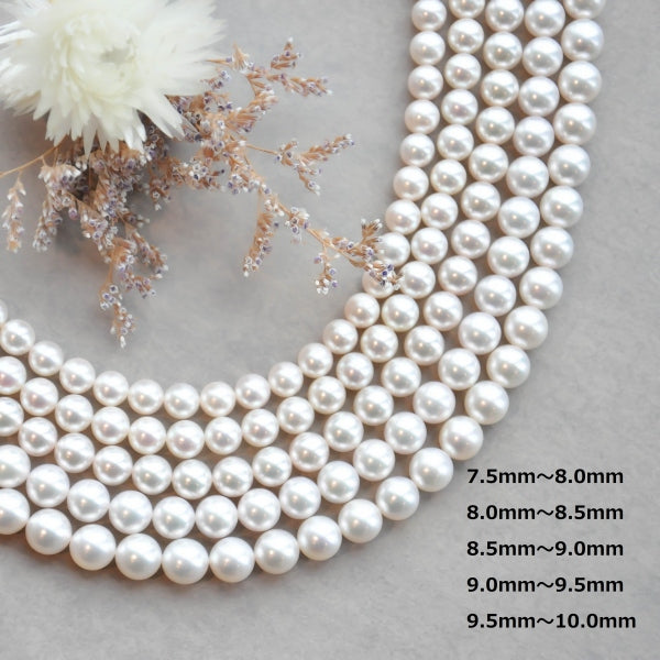 パール シルバー /K14ネックレス/イヤリング(花珠/アコヤ真珠/8.0mm～8.5mm/2点セット/6月誕生石/真珠総合研究所花珠鑑別鑑定書付き)《JACQ1875》