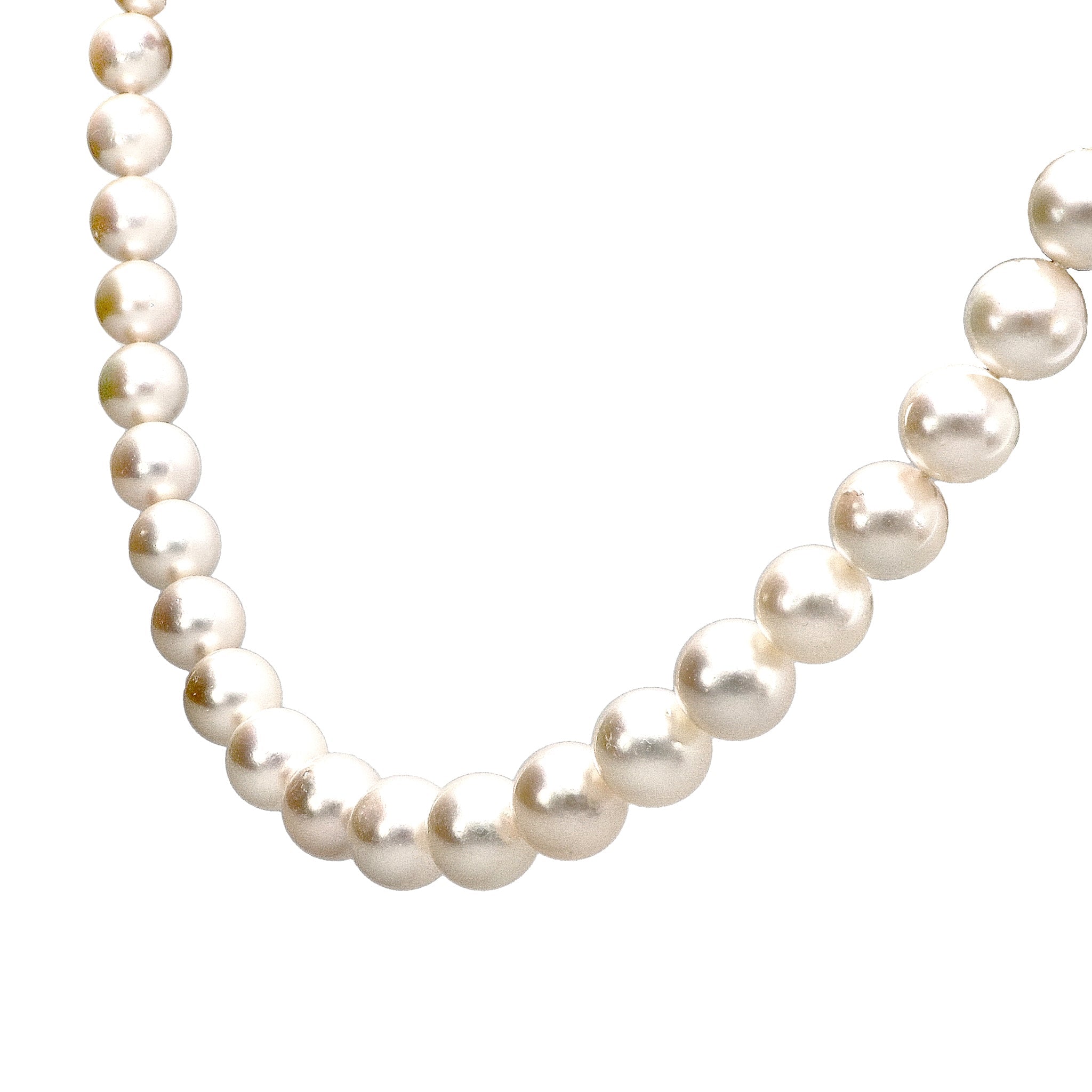 【限定1点】パール K14WGネックレス(アコヤ真珠/10～12.2mm/オールナッツ/パールキーパー/お手入れクロス/6月誕生石)《24T10111》