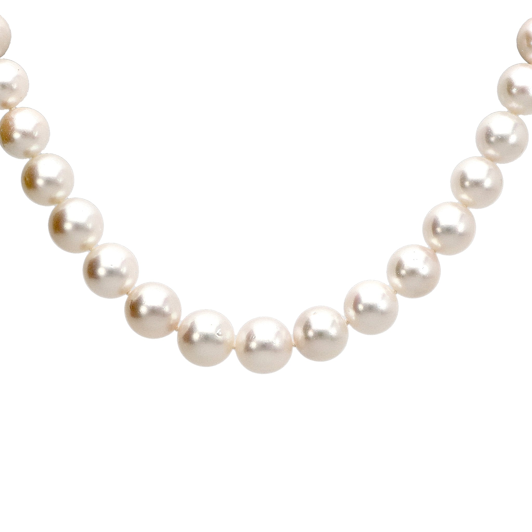 【限定1点】パール K14WGネックレス(アコヤ真珠/10～12.2mm/オールナッツ/パールキーパー/お手入れクロス/6月誕生石)《24T10111》