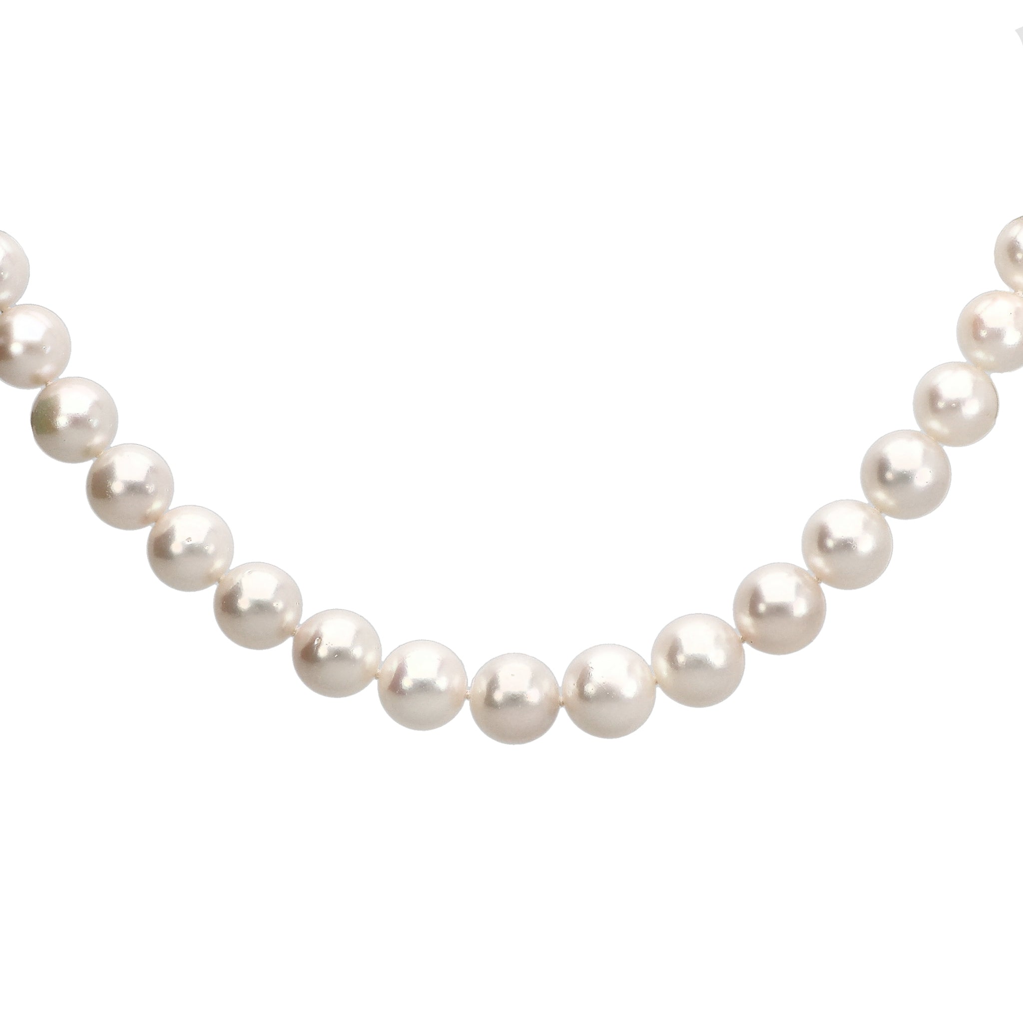 【限定1点】パール シルバーネックレス(アコヤ真珠/10.5～12mm/オールナッツ/パールキーパー/お手入れクロス/6月誕生石)《24T10112》