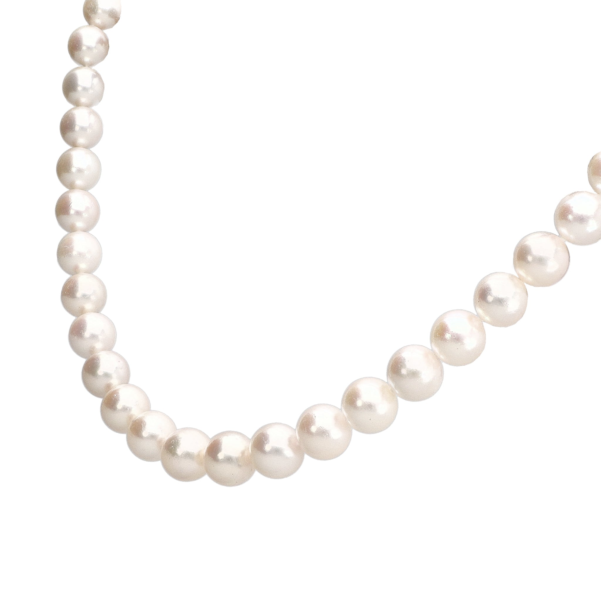 【限定1点】パール シルバーネックレス(アコヤ真珠/10.5～12mm/オールナッツ/パールキーパー/お手入れクロス/6月誕生石)《24T10112》