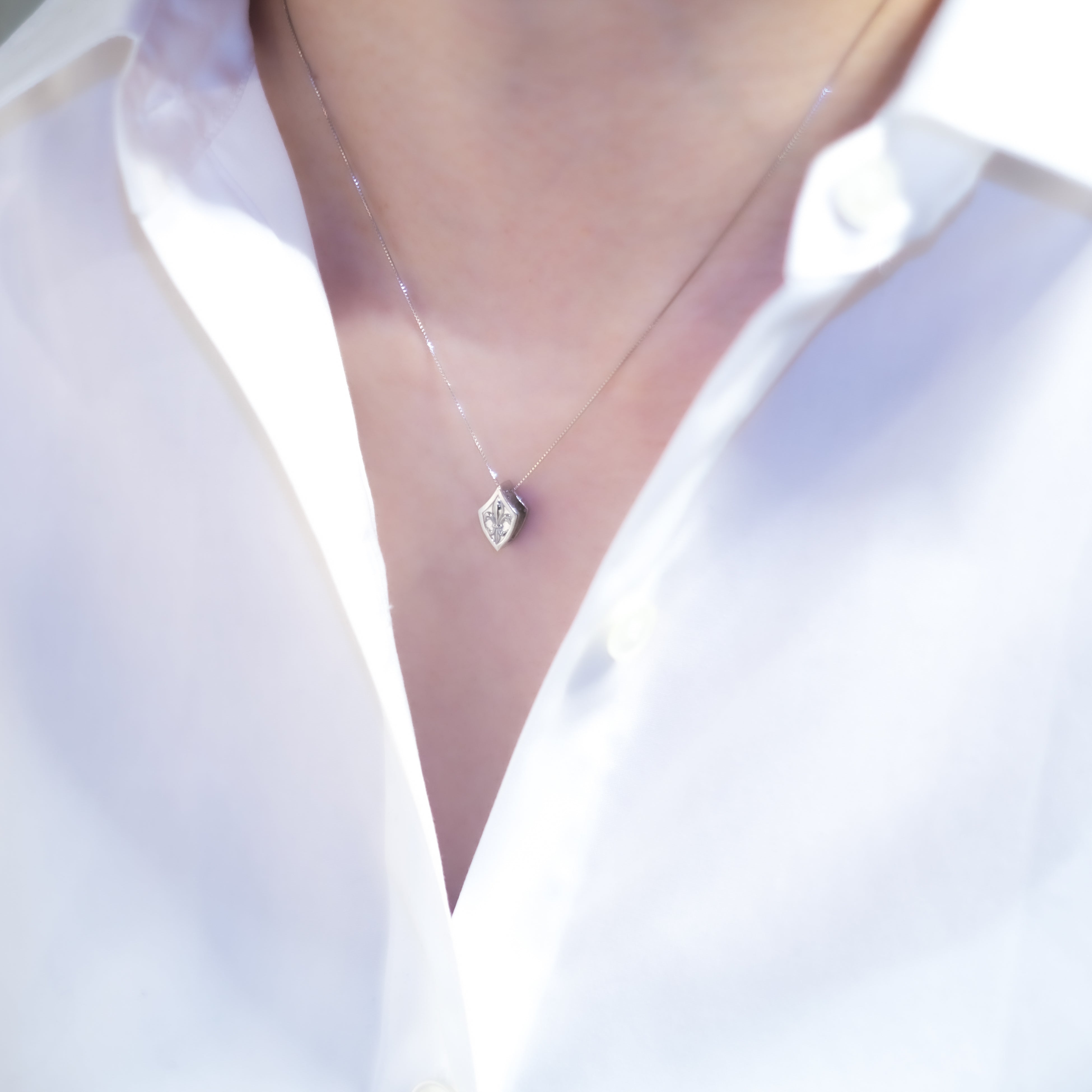 トコハナ 2011 Kawasaki Ninja ZX-14