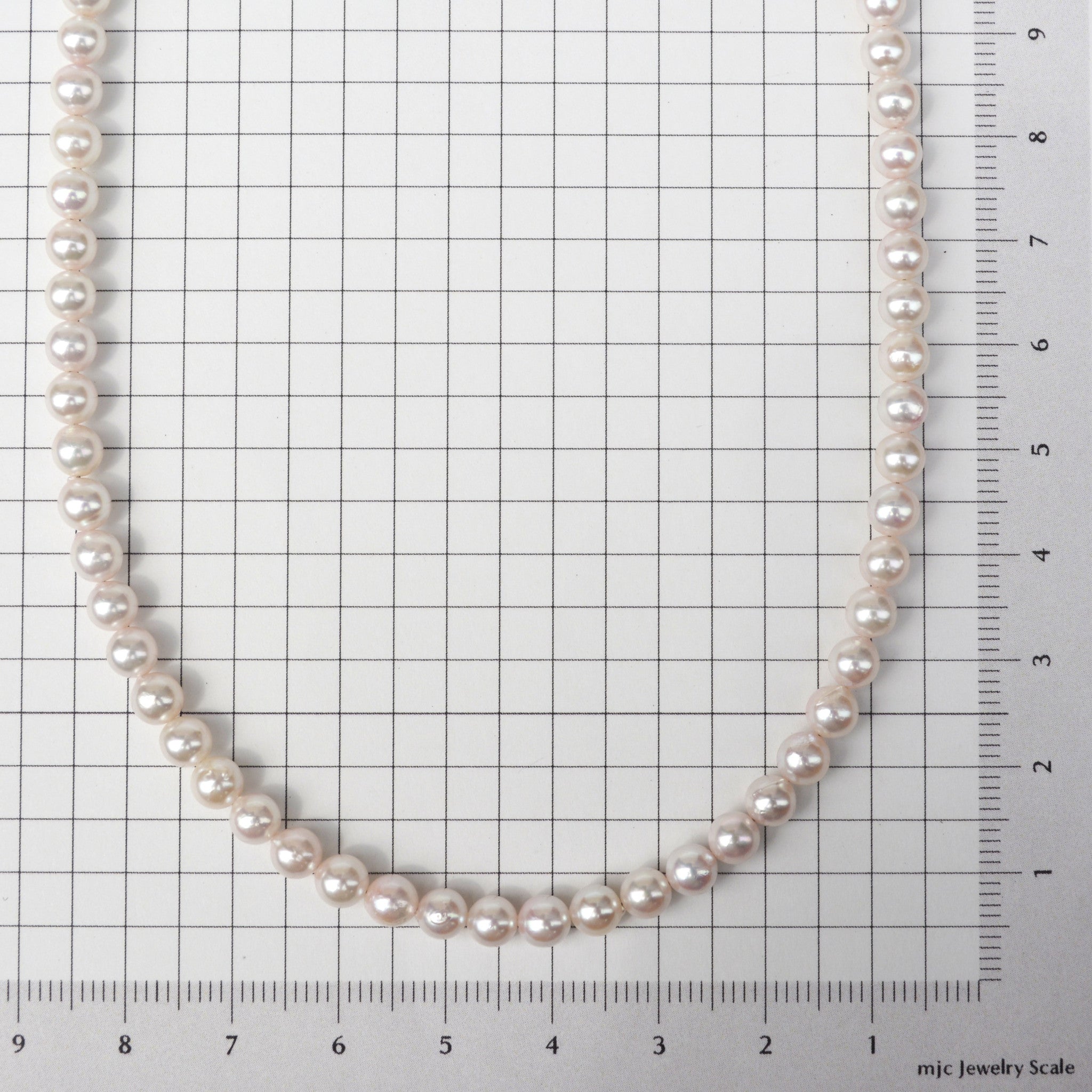 【限定6点】パール ネックレス(アコヤ真珠/4.5mm/6月誕生石)《25N00308》