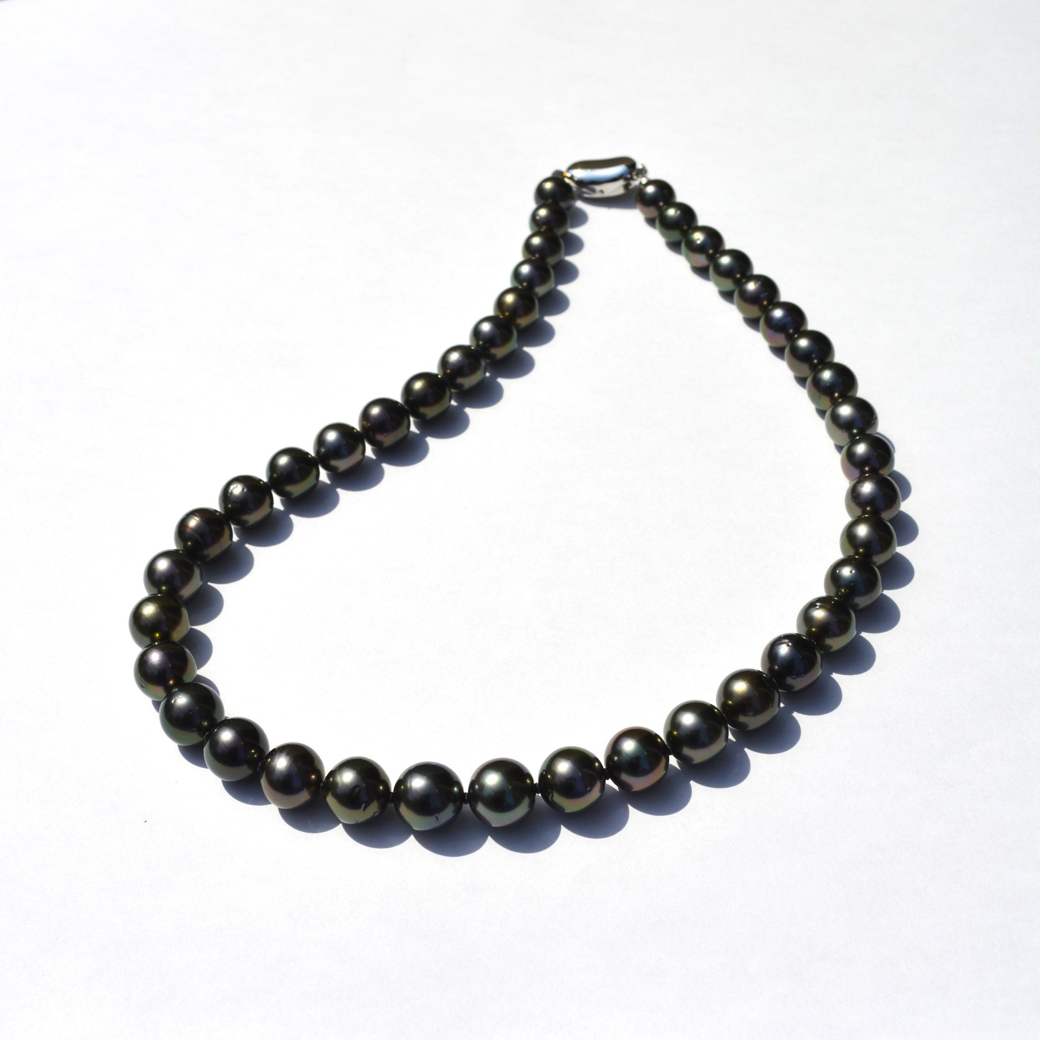 【限定5点】パール ネックレス(黒蝶真珠/8～10mm/6月誕生石/真珠鑑別鑑定書付き)《25N01507》