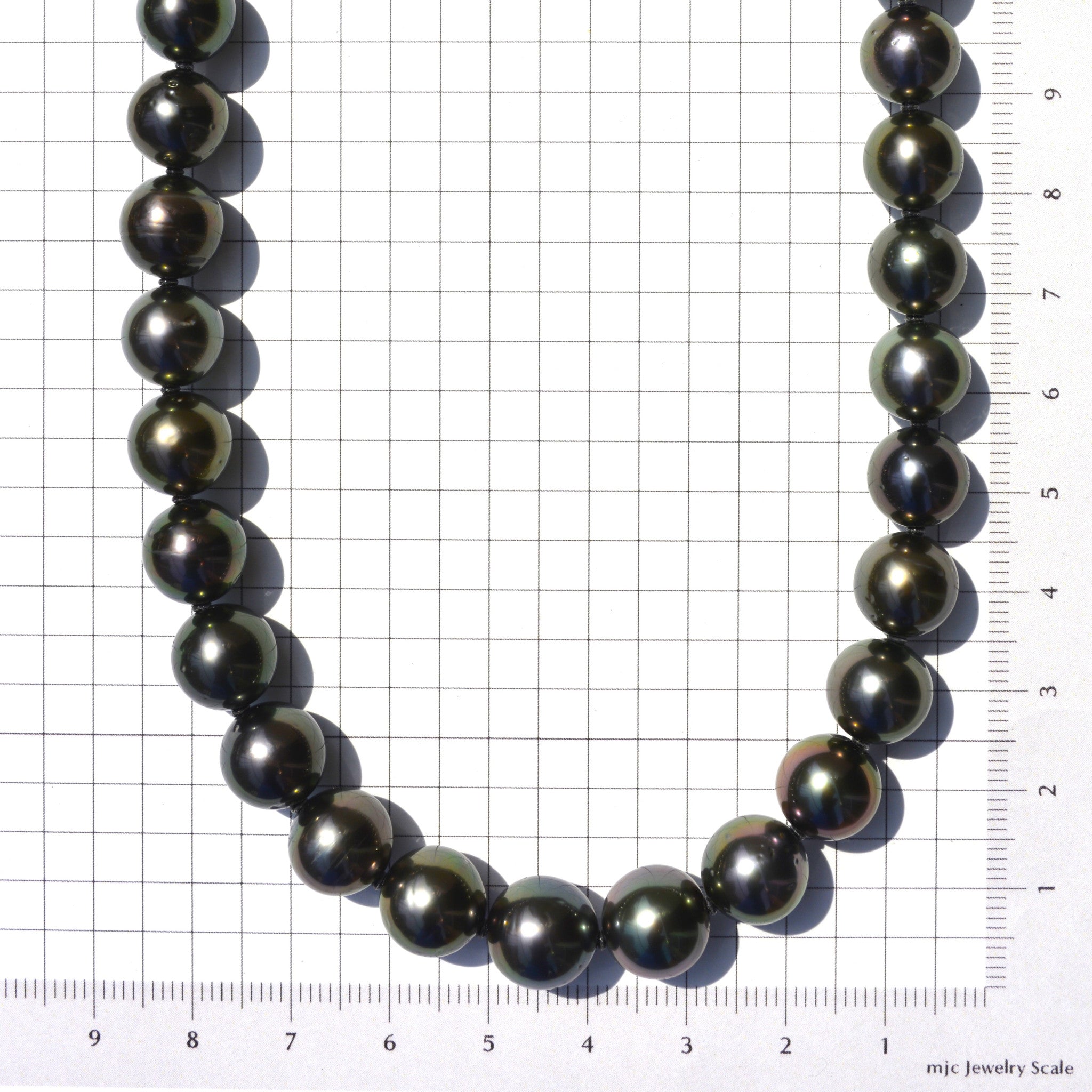 【限定5点】パール ネックレス(黒蝶真珠/8～10mm/6月誕生石/真珠鑑別鑑定書付き)《25N01507》
