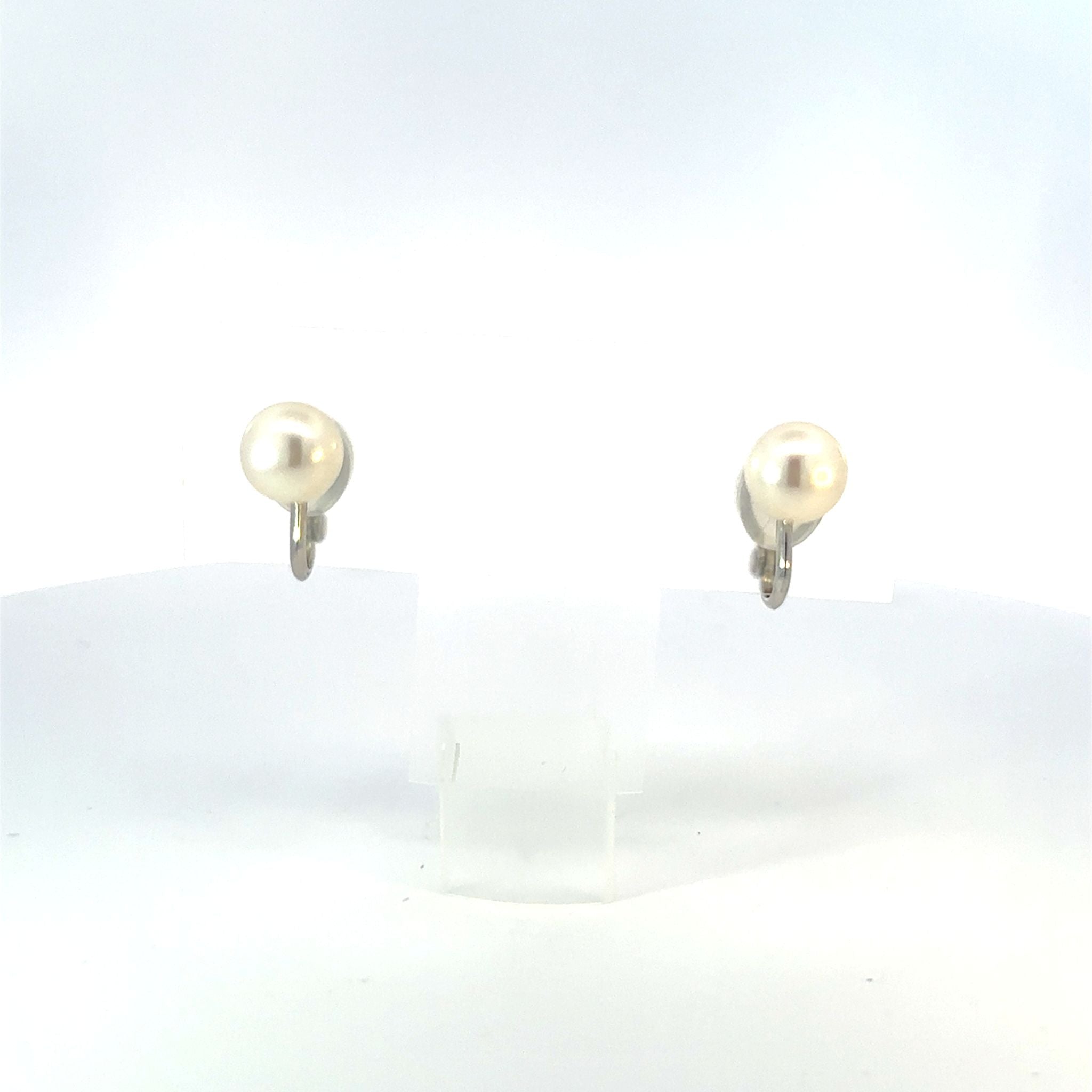 パール シルバーイヤリング(淡水真珠/8mm/6月誕生石)《25V01504》