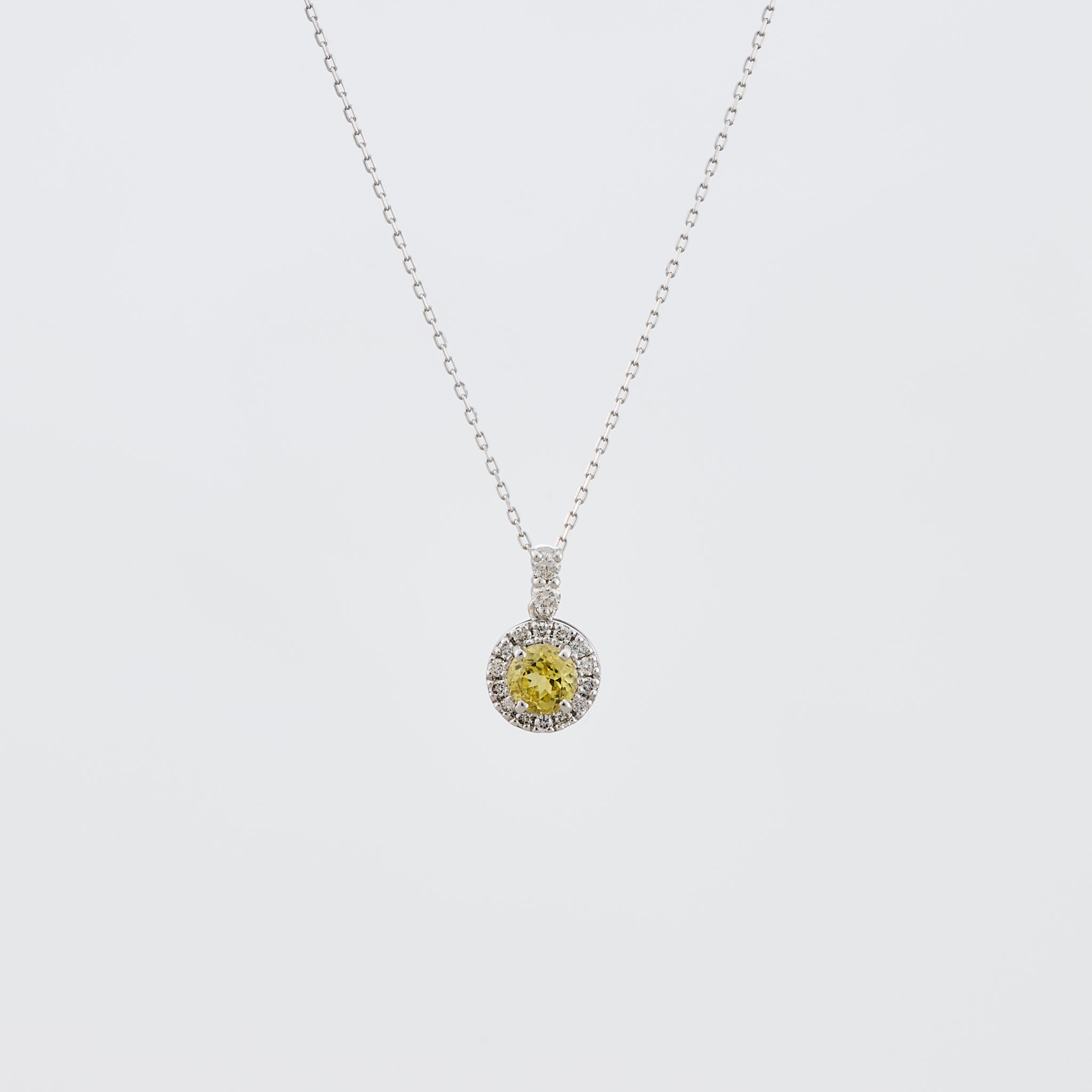 マリガーネット/ダイヤモンド プラチナネックレス(1月誕生石)《25V01906》