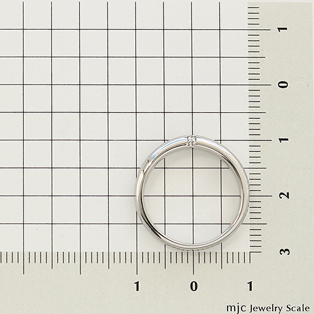 ダイヤモンド プラチナリング(4月誕生石)《25V02509》