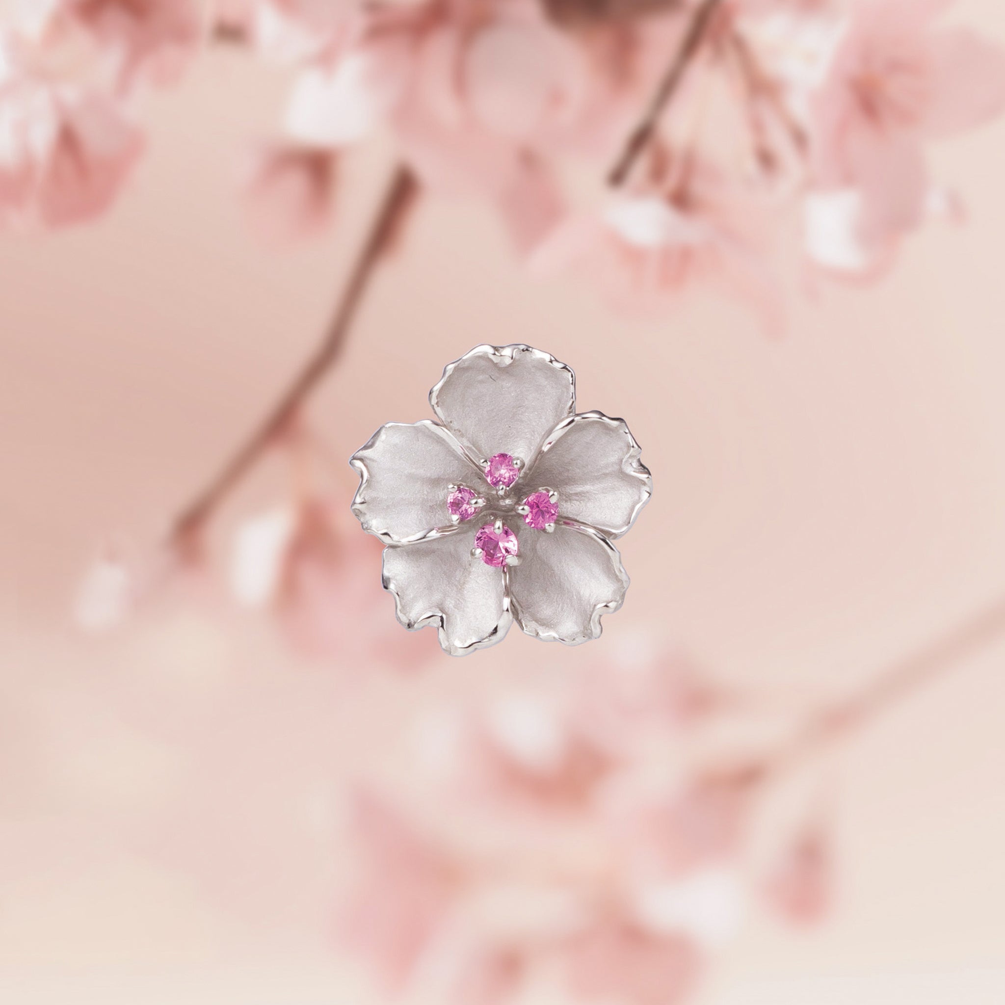 ピンクサファイア プラチナブローチ(桜モチーフ/9月誕生石)《26A01704》