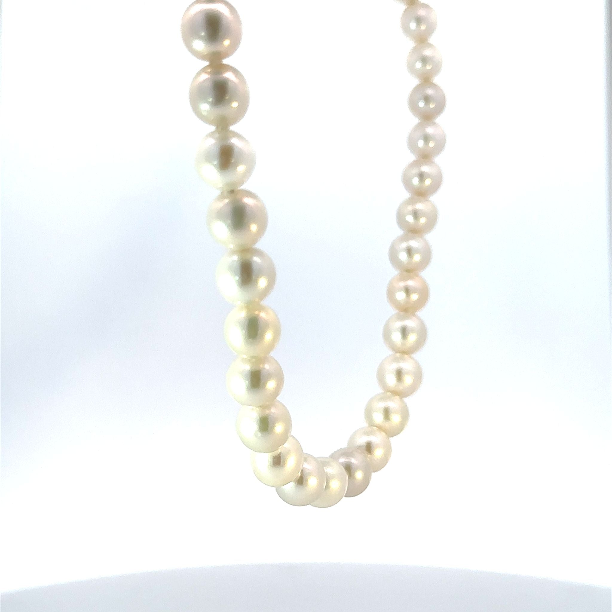 パール ネックレス(淡水真珠/7～8mm)《26A03905》
