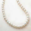 パール ネックレス(淡水真珠/7～8mm)《26A03905》