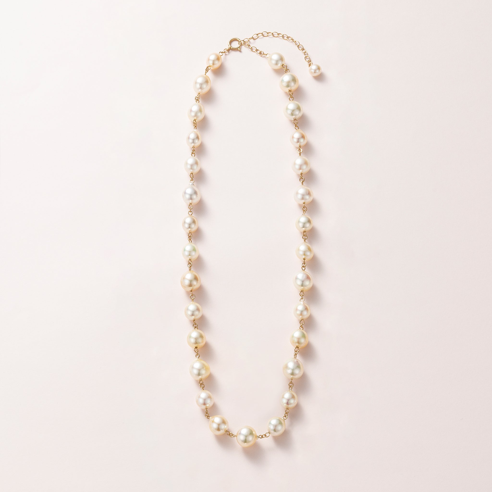 パール K14ネックレス(アコヤ真珠/7～8.5mm/バロック珠/6月誕生石)《26C20127》