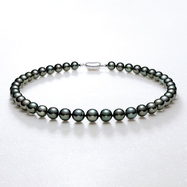 パール ネックレス(黒蝶真珠/8～10mm/6月誕生石/鑑別書付)《26H00909