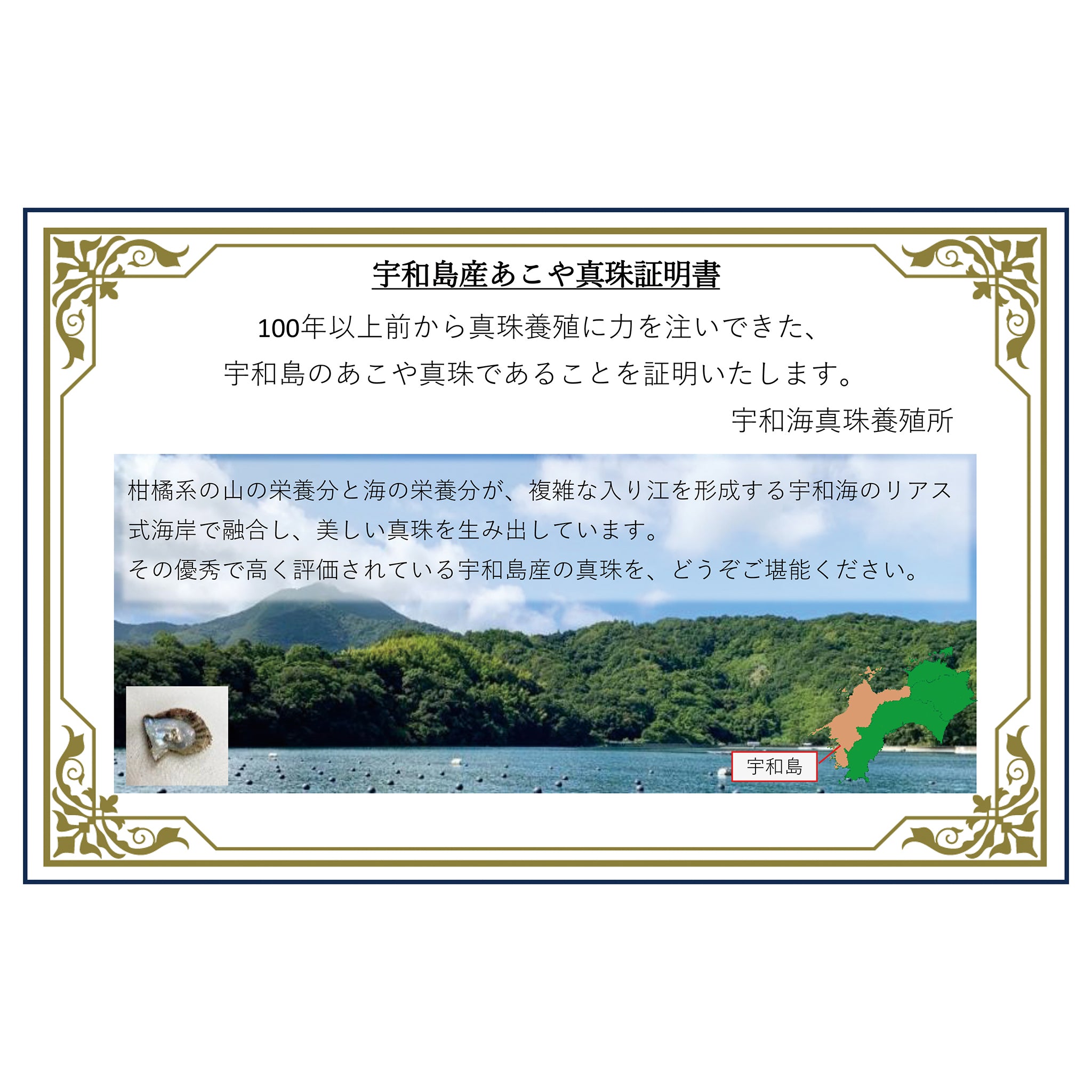 パール K18ペンダントトップ(アコヤ真珠/8mm/宇和島産/6月誕生石/原産地証明書付)《26H01008》