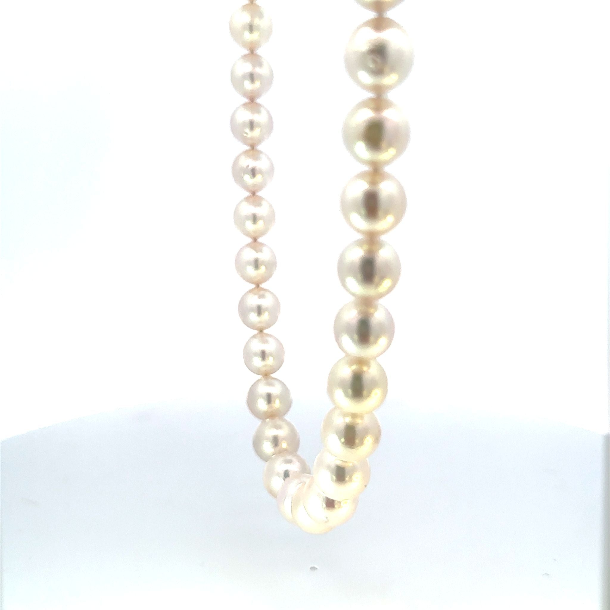 パール ネックレス(アコヤ真珠/7.5mm/宇和島産/6月誕生石/原産地証明書付)《26H01007》