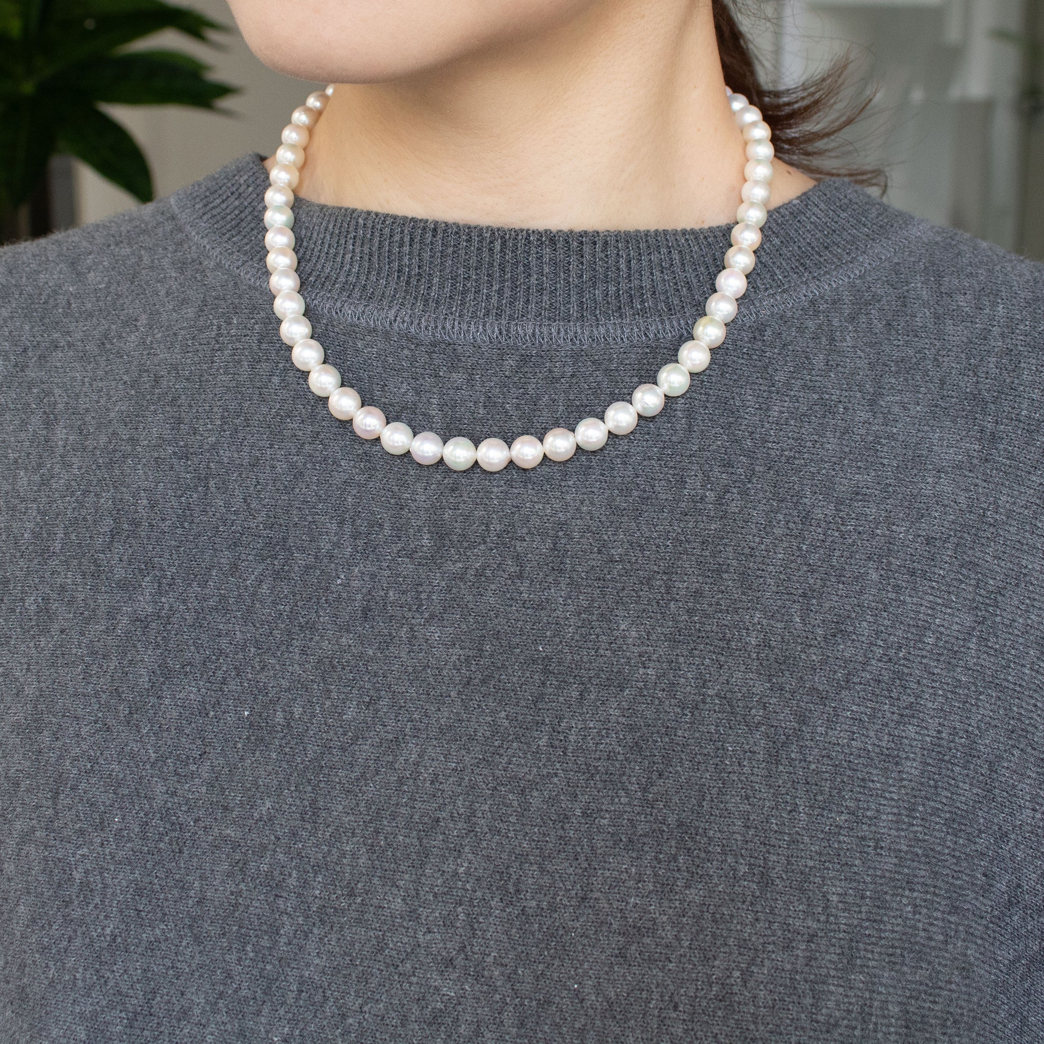 【限定1点】パール ネックレス(アコヤ真珠/7.5mm/セミバロック珠/6月誕生石)《26T10123》