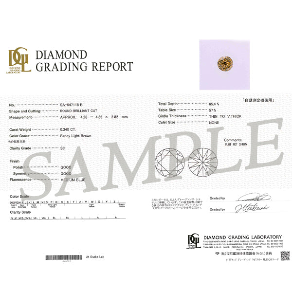 ブラウンダイヤモンド/ダイヤモンド PTネックレス(0.3カラット/4