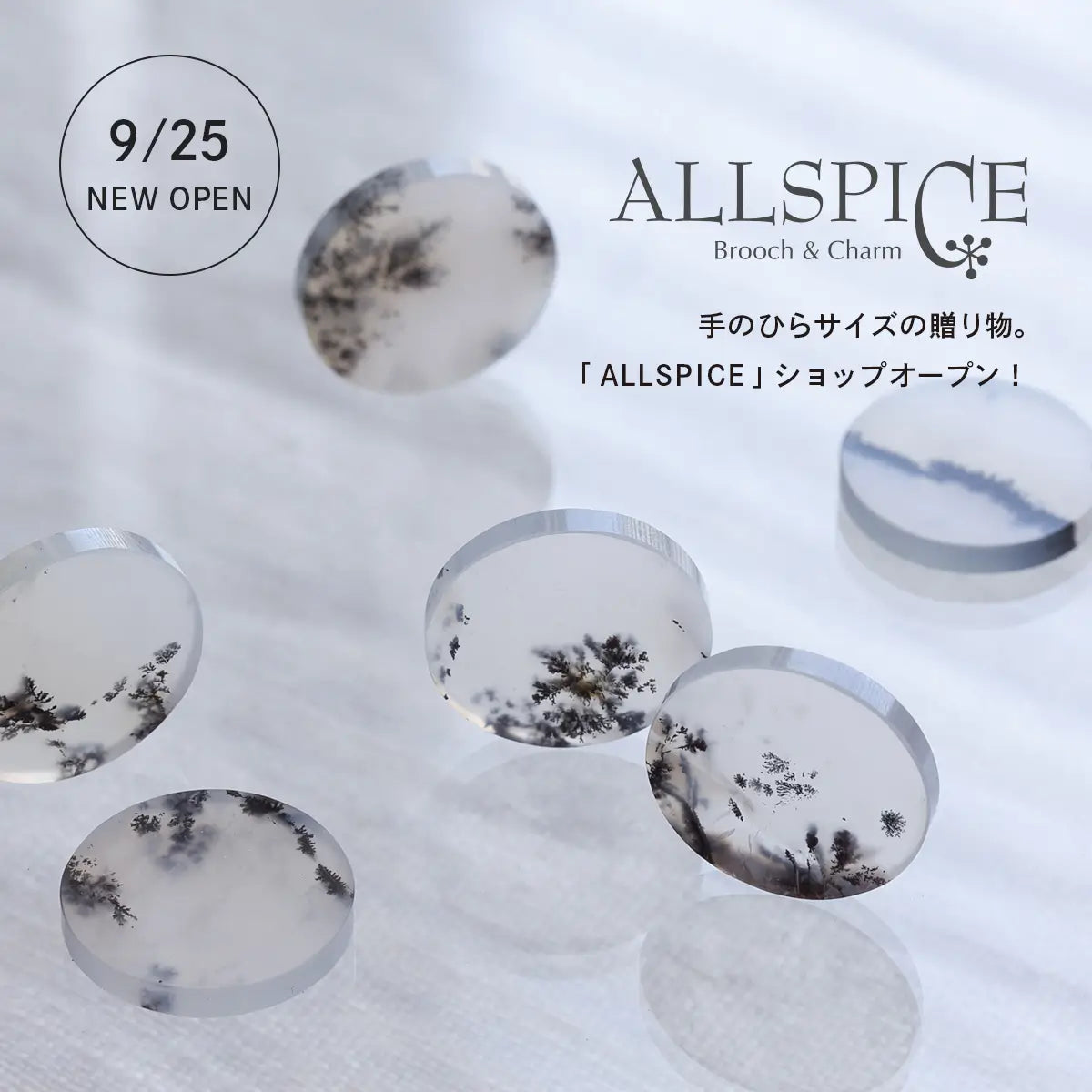 ALLSPICE（オールスパイス）ショップオープン