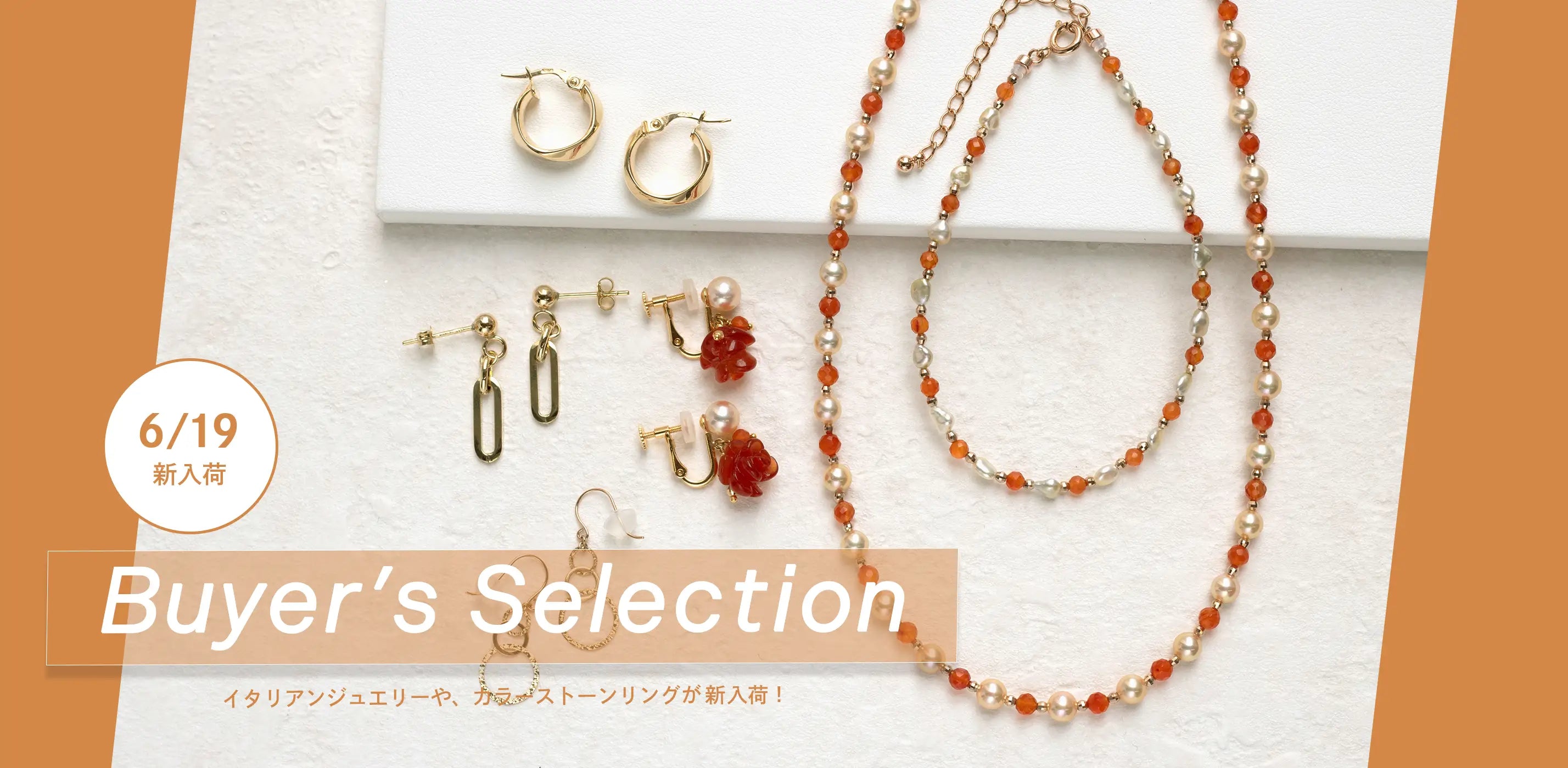 2026年6月バイヤーズセレクション新入荷